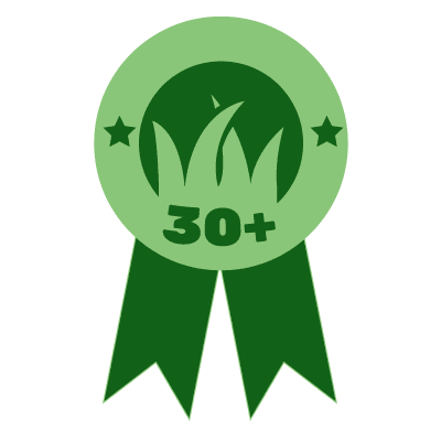 30 Years Badge